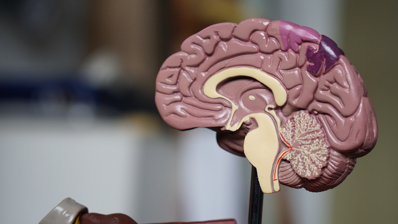 Avaliação Neuropsicológica: O que é, Para que Serve e Como Funciona